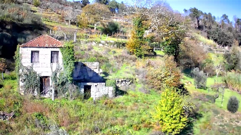 Quintinha  Baião, Loivos da Ribeira e Tresouras - 1348450 - 18