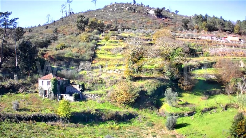 Quintinha  Baião, Loivos da Ribeira e Tresouras - 1348450 - 21