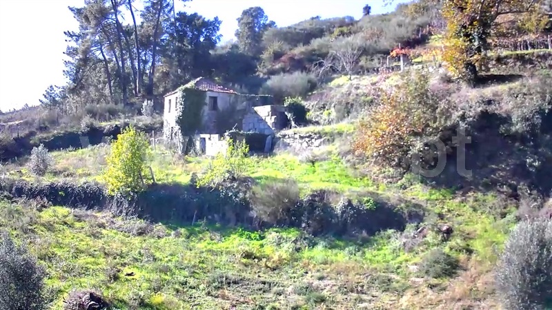 Quintinha  Baião, Loivos da Ribeira e Tresouras - 1348450 - 23