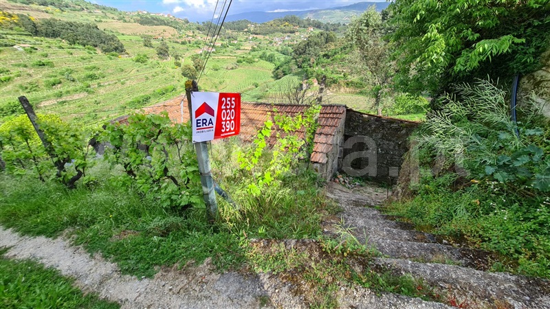 Quintinha  Baião, Santa Cruz do Douro e São Tomé de Covelas - 1167537 - 1