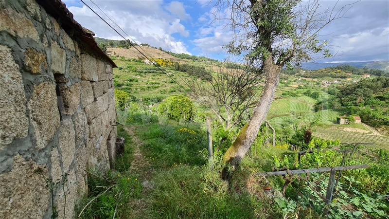 Quintinha  Baião, Santa Cruz do Douro e São Tomé de Covelas - 1167537 - 10