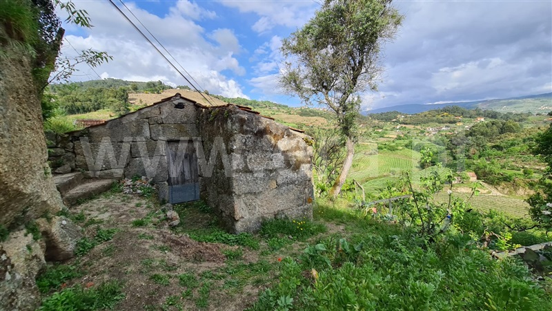Quintinha  Baião, Santa Cruz do Douro e São Tomé de Covelas - 1167537 - 11