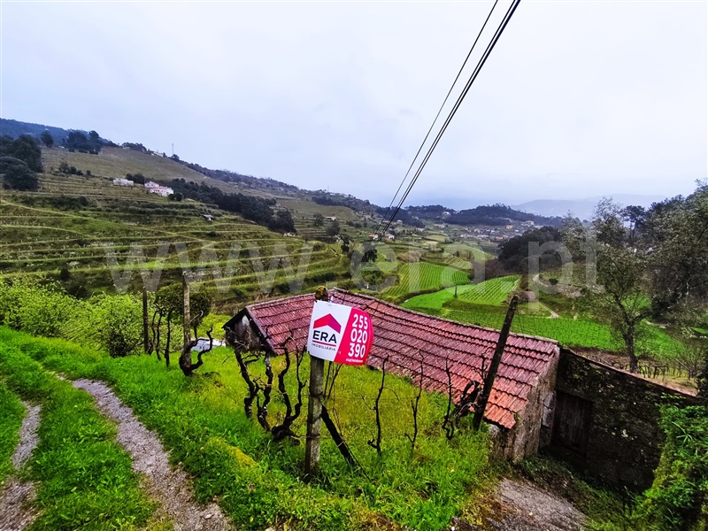 Quintinha / Baião, Santa Cruz do Douro e São Tomé de Covelas