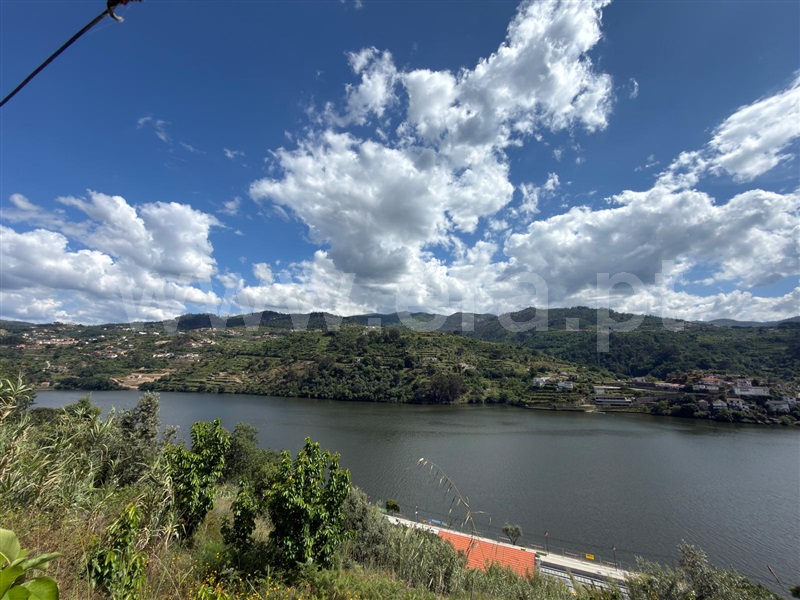 Quintinha / Baião, Santa Cruz do Douro e São Tomé de Covelas