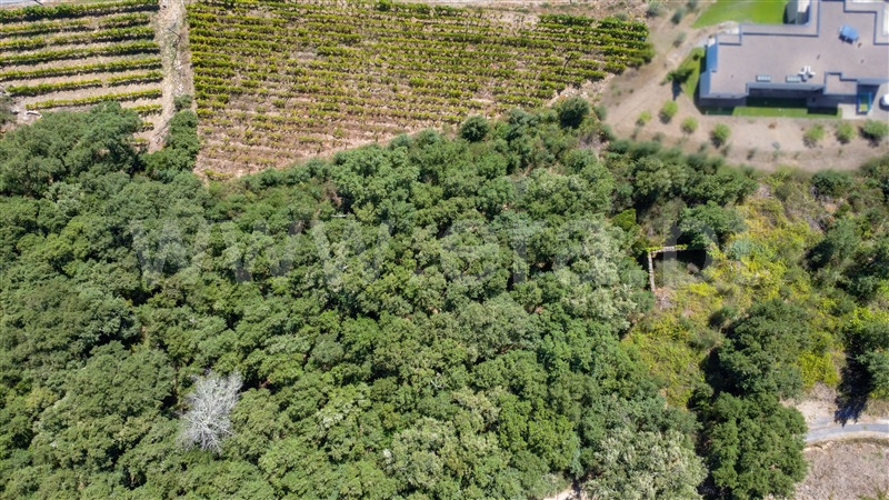 Quintinha / Baião, Santa Marinha do Zêzere