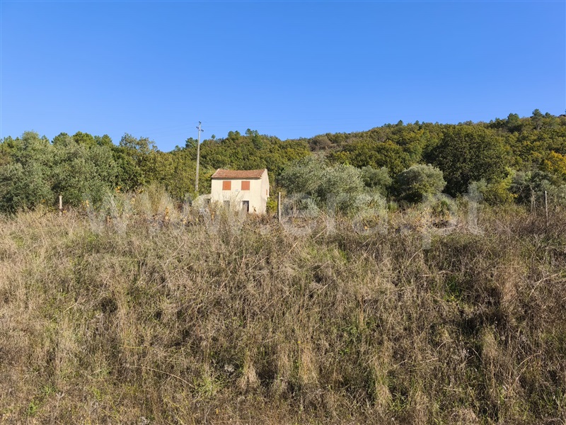 Quintinha / Belmonte, Belmonte e Colmeal da Torre