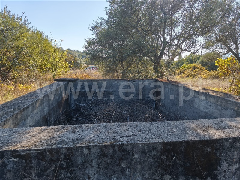 Quintinha  Belmonte, Belmonte e Colmeal da Torre - 1440683 - 9