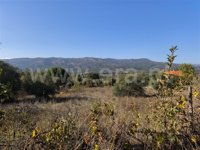 Quintinha  Belmonte, Belmonte e Colmeal da Torre - 1440683 - 11