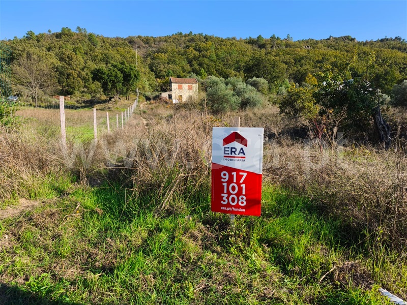 Quintinha  Belmonte, Belmonte e Colmeal da Torre - 1440683 - 13