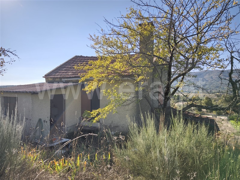 Quintinha  Belmonte, Belmonte e Colmeal da Torre - 1440683 - 17