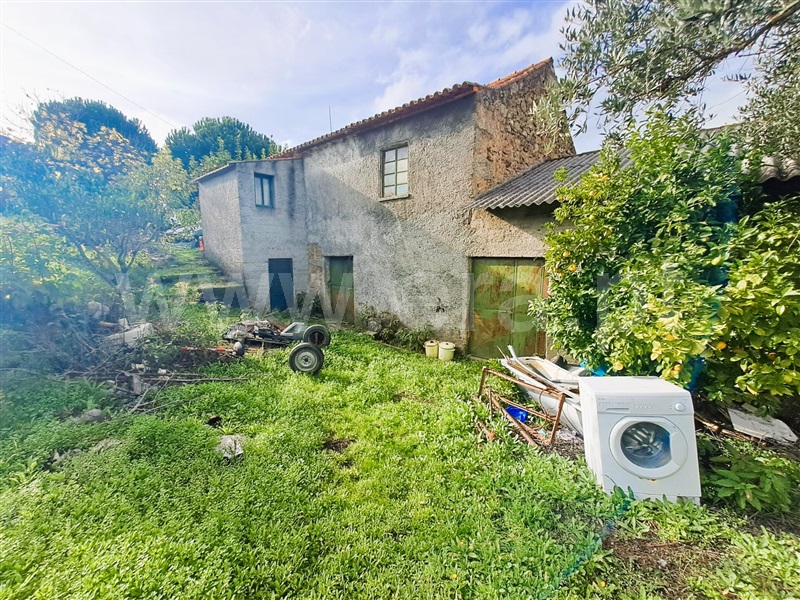 Quinta  Belmonte, Caria - 1447084 - 3