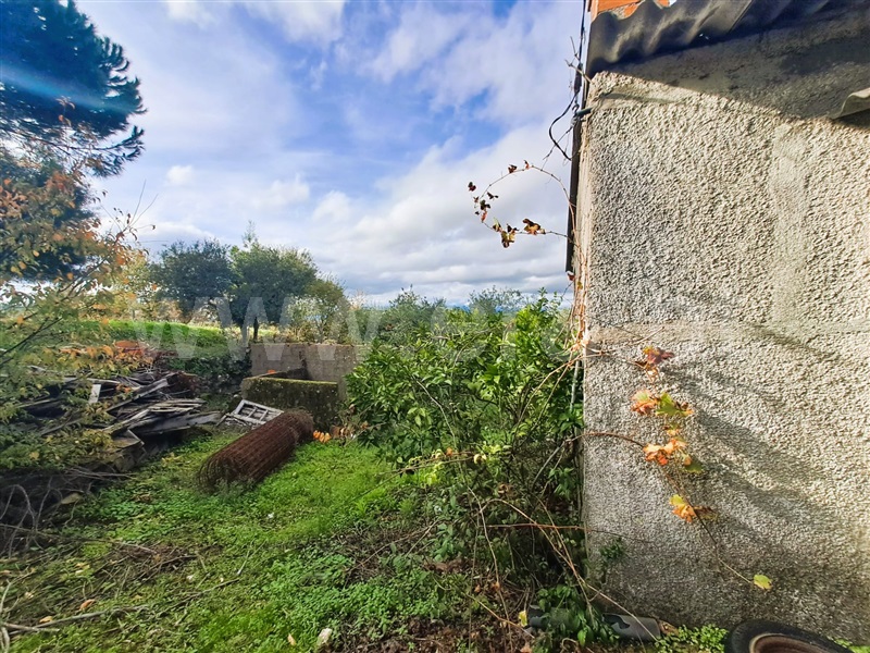 Quinta  Belmonte, Caria - 1447084 - 6