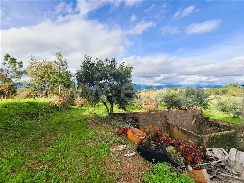 Quinta  Belmonte, Caria - 1447084 - 9