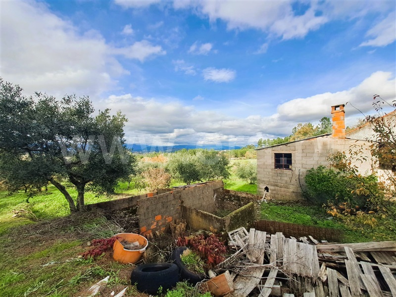 Quinta  Belmonte, Caria - 1447084 - 10