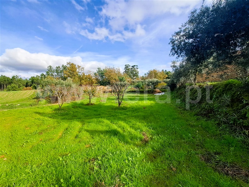 Quinta  Belmonte, Caria - 1447084 - 12