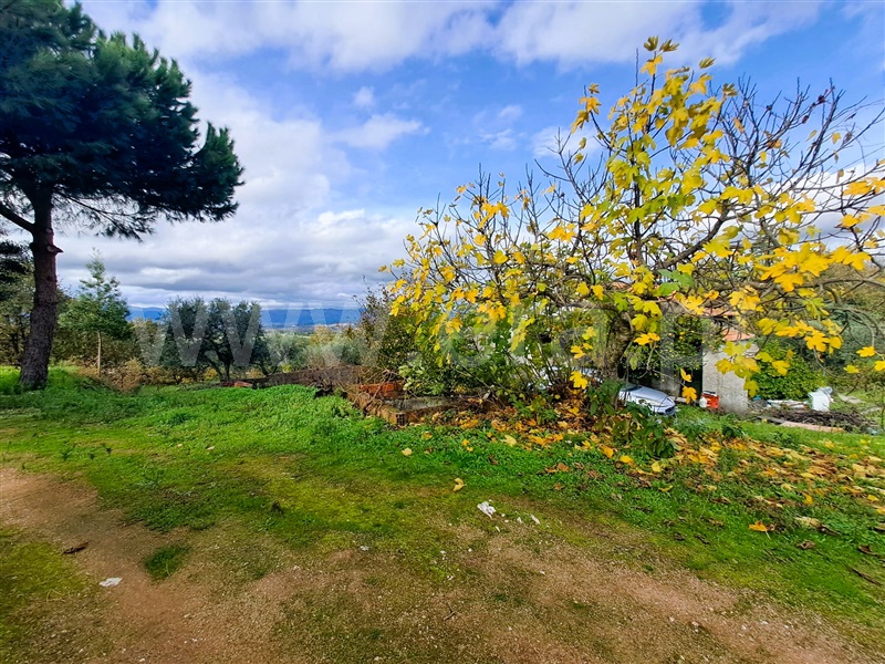 Quinta  Belmonte, Caria - 1447084 - 13