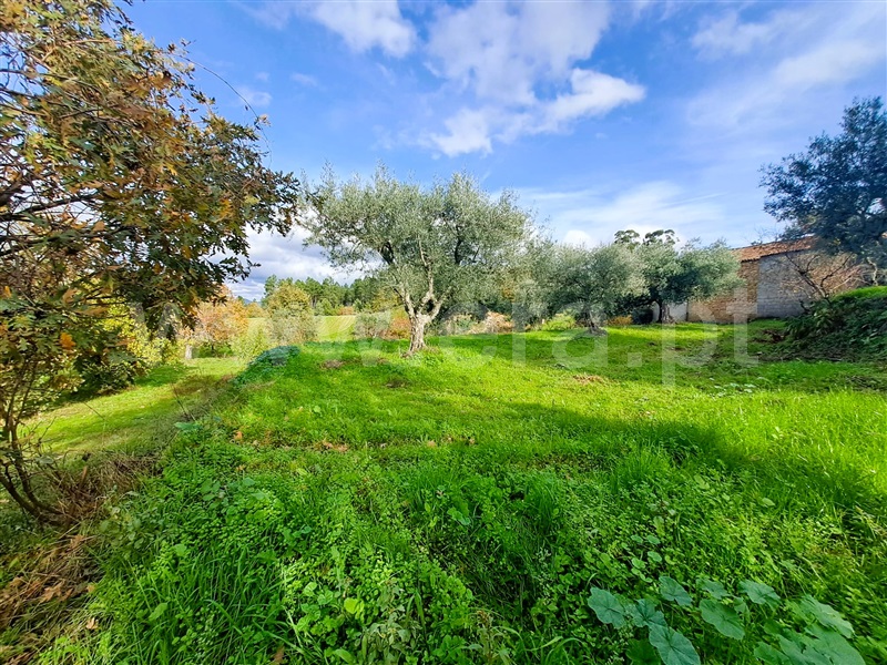 Quinta  Belmonte, Caria - 1447084 - 14