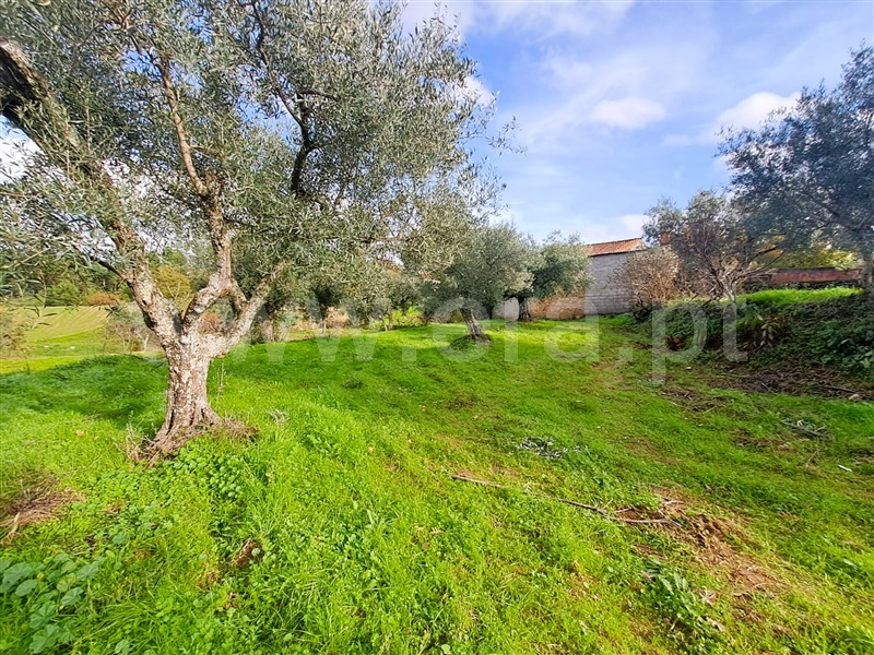 Quinta  Belmonte, Caria - 1447084 - 16