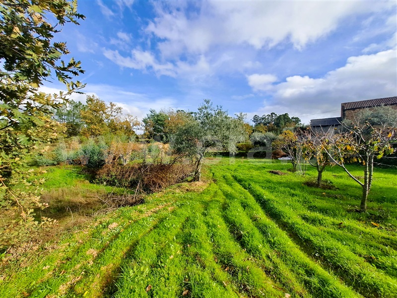 Quinta  Belmonte, Caria - 1447084 - 17