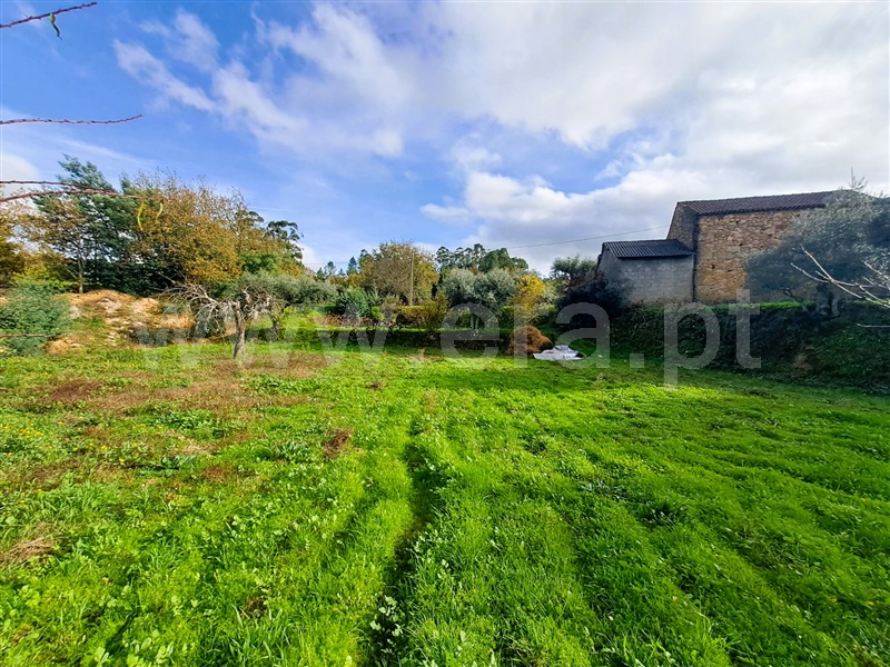 Quinta  Belmonte, Caria - 1447084 - 18