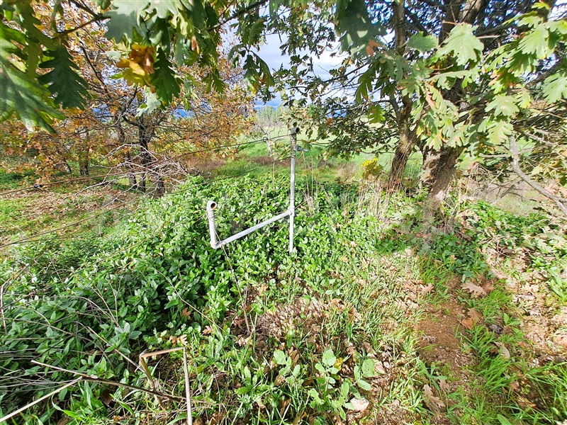 Quinta  Belmonte, Caria - 1447084 - 20