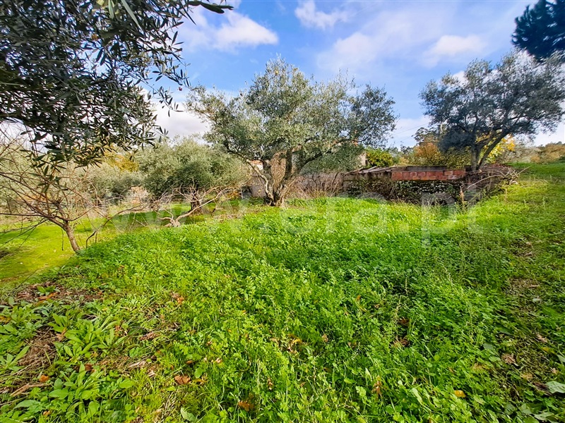 Quinta  Belmonte, Caria - 1447084 - 22