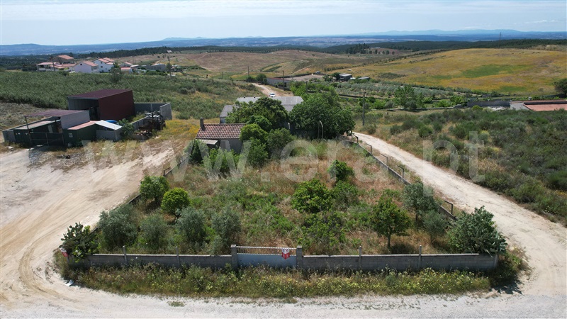 Quintinha / Castelo Branco, Castelo Branco