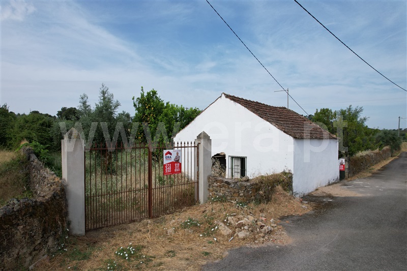 Quintinha / Castelo Branco, Castelo Branco