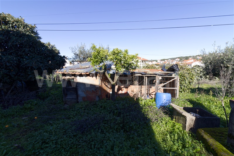 Quintinha  Castelo Branco, Retaxo - 1444620 - 13