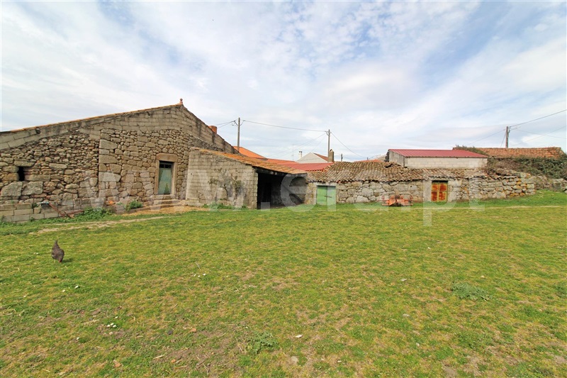 Quintinha  Celorico da Beira, Maçal do Chão - 1458860 - 8