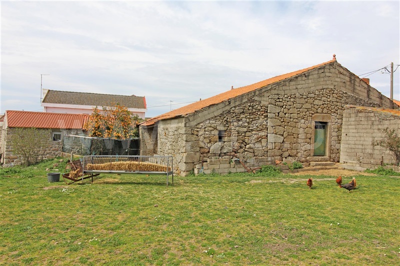 Quintinha  Celorico da Beira, Maçal do Chão - 1458860 - 9