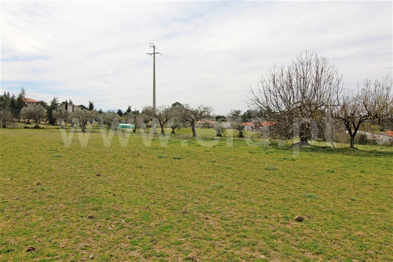 Quintinha  Celorico da Beira, Maçal do Chão - 1458860 - 10