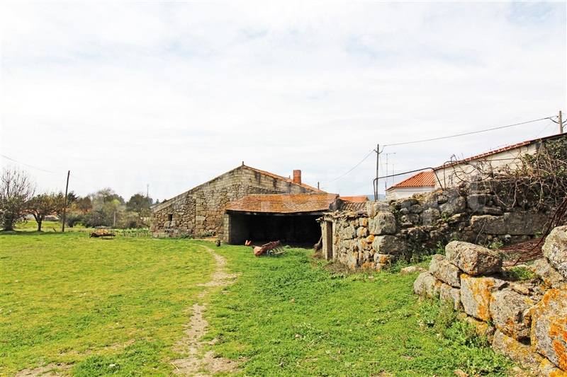 Quintinha  Celorico da Beira, Maçal do Chão - 1458860 - 11