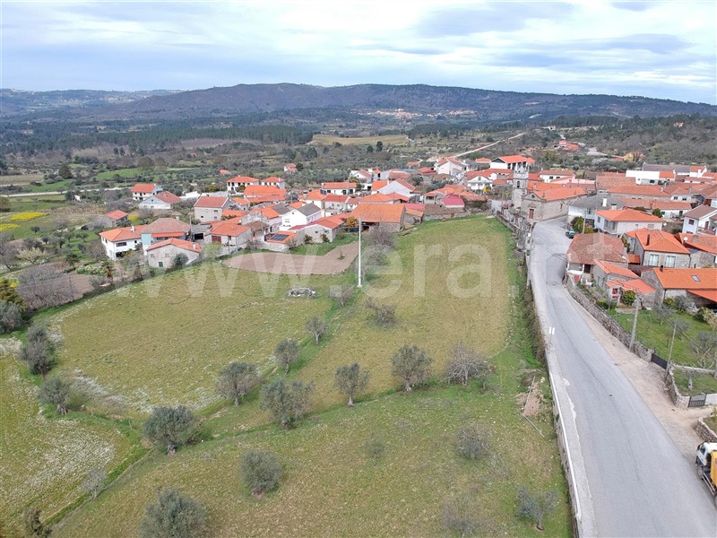 Quintinha  Celorico da Beira, Maçal do Chão - 1458860 - 19