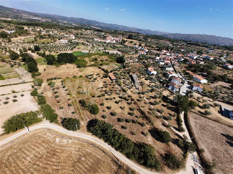 Quintinha / Celorico da Beira, Ratoeira