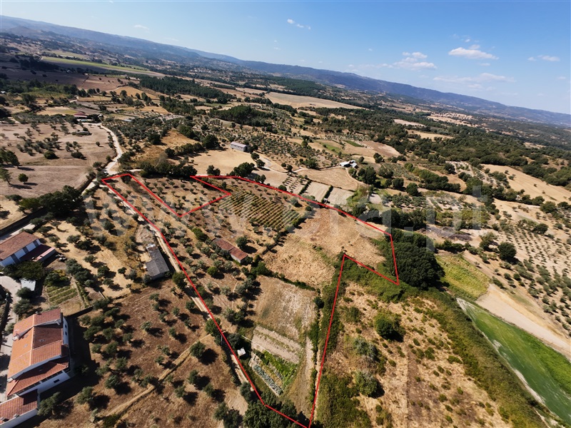 Quintinha  Celorico da Beira, Ratoeira - 1498519 - 3