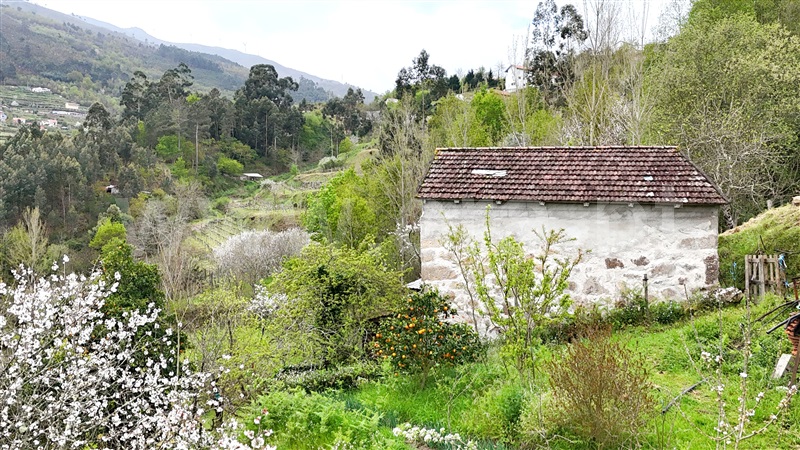 Quintinha  Cinfães, Santiago de Piães - 1474993 - 1