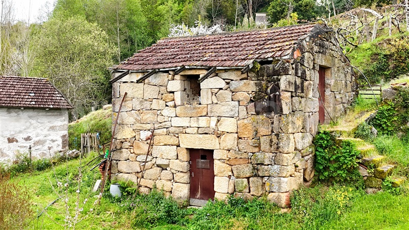 Quintinha / Cinfães, Santiago de Piães
