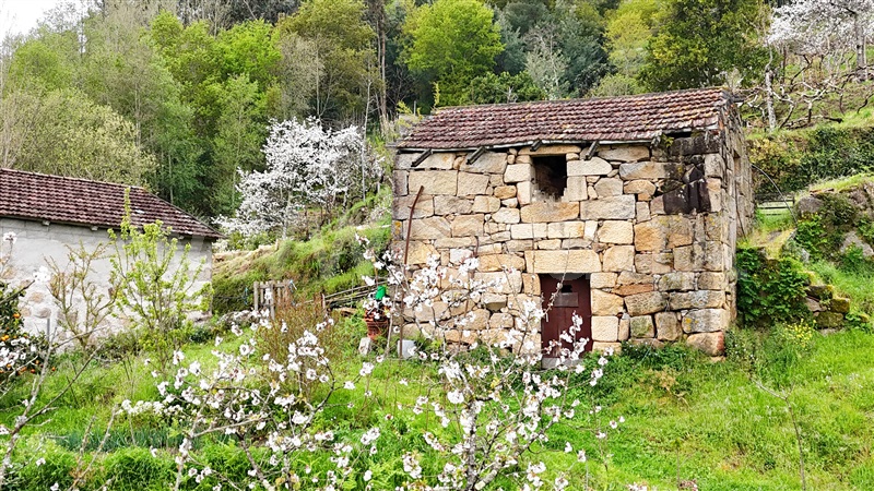 Quintinha  Cinfães, Santiago de Piães - 1474993 - 4
