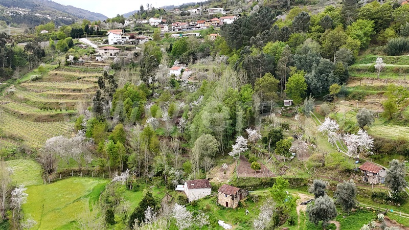 Quintinha  Cinfães, Santiago de Piães - 1474993 - 6