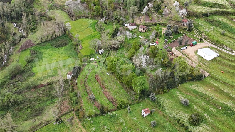 Quintinha  Cinfães, Santiago de Piães - 1474993 - 7