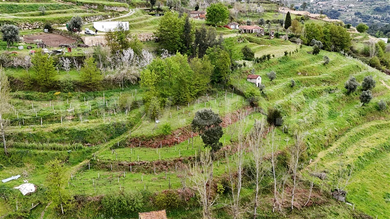 Quintinha  Cinfães, Santiago de Piães - 1474993 - 8