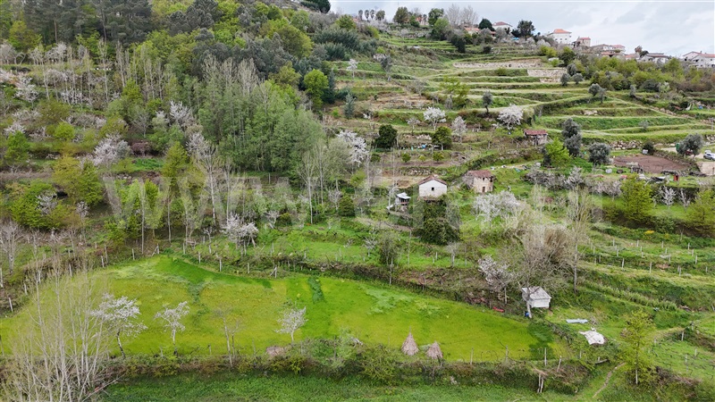 Quintinha  Cinfães, Santiago de Piães - 1474993 - 9