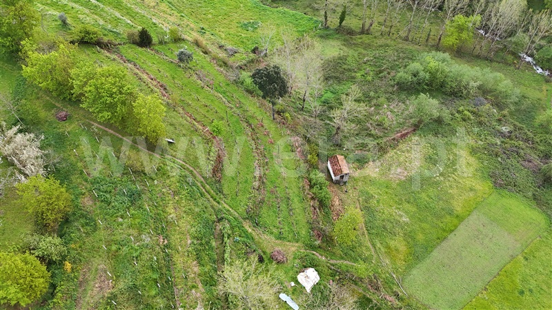 Quintinha  Cinfães, Santiago de Piães - 1474993 - 10