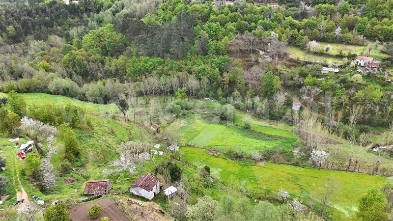 Quintinha  Cinfães, Santiago de Piães - 1474993 - 11