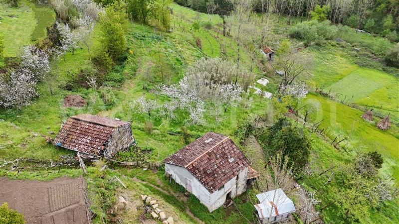 Quintinha  Cinfães, Santiago de Piães - 1474993 - 12