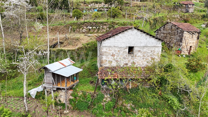 Quintinha  Cinfães, Santiago de Piães - 1474993 - 13