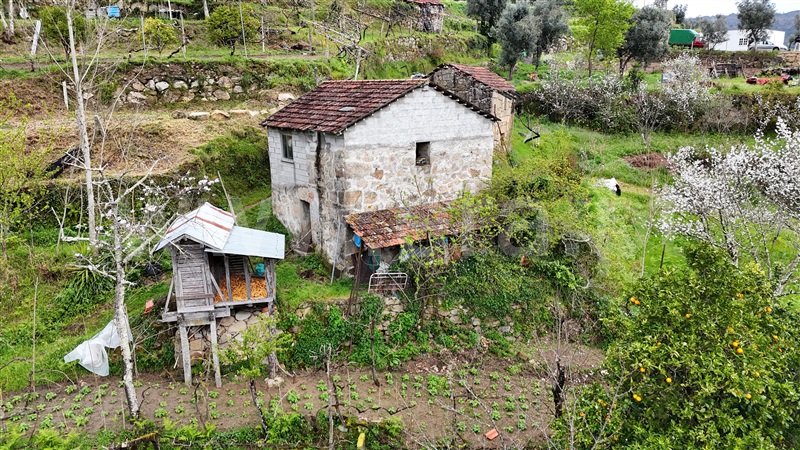 Quintinha  Cinfães, Santiago de Piães - 1474993 - 15