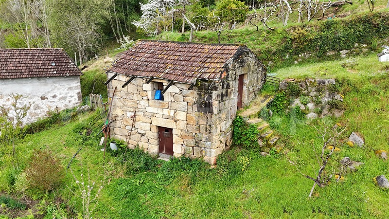 Quintinha  Cinfães, Santiago de Piães - 1474993 - 16