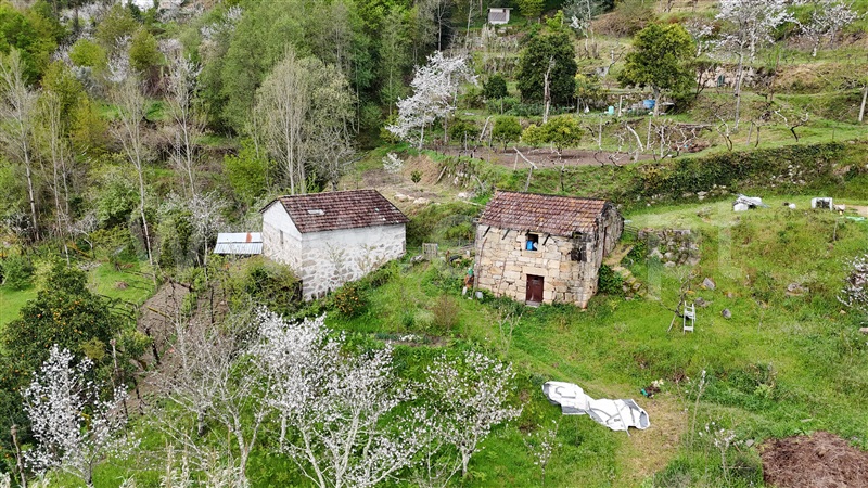 Quintinha  Cinfães, Santiago de Piães - 1474993 - 17